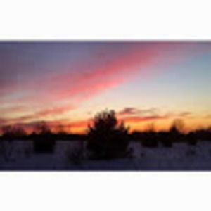 Meet your Posher, Brooklyn